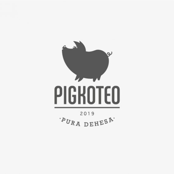 Pigkoteo - brand identity